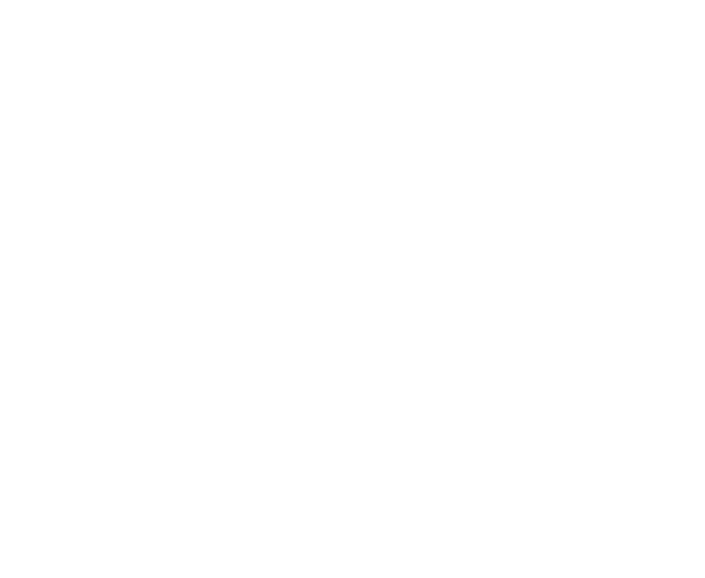 Down Home Maine logo