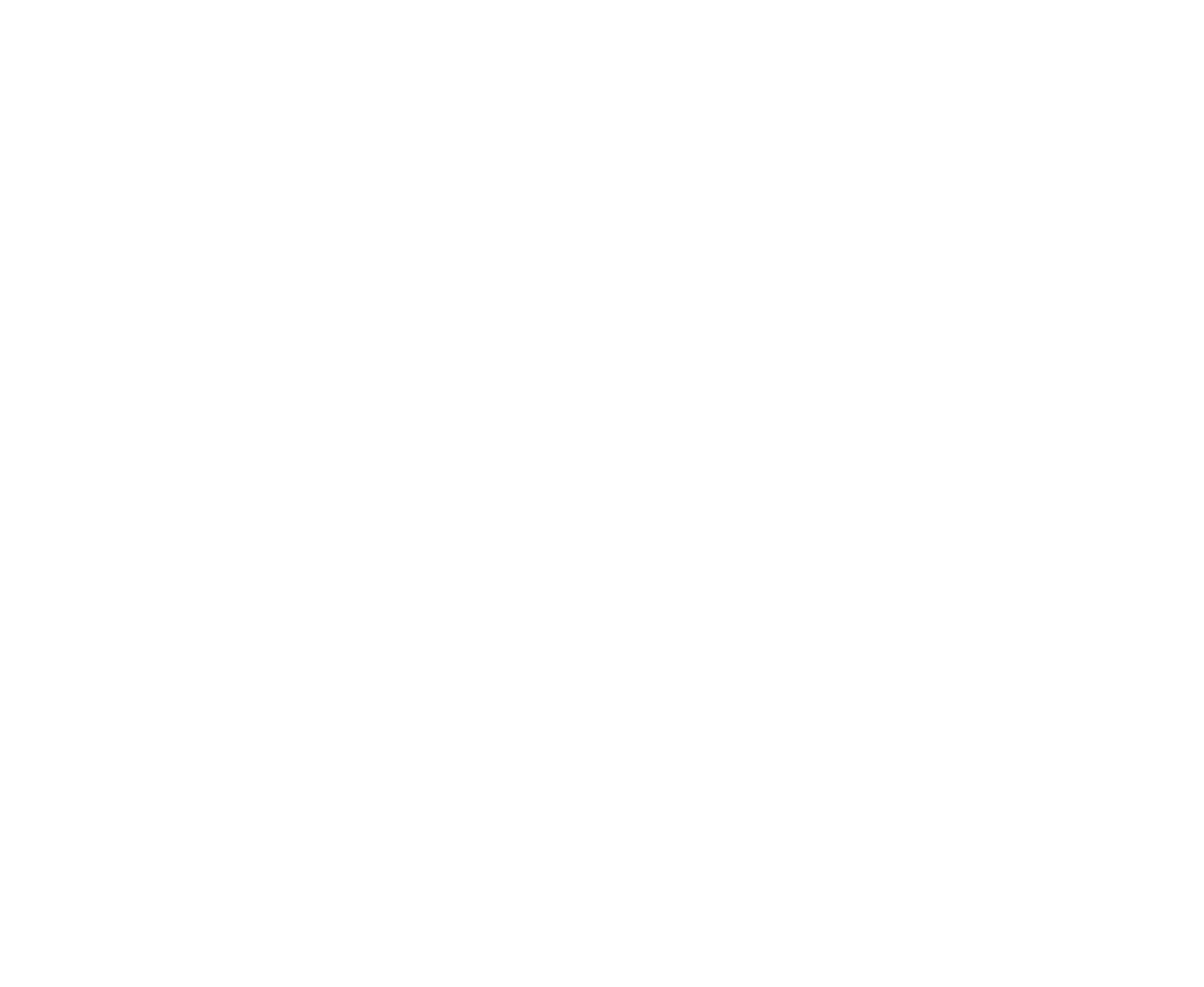 Down Home Maine logo